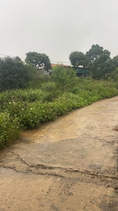 Đất nền Mường Sang 1259m² giá chỉ 9.946 tỷ - Cơ hội đầu tư hiếm có!