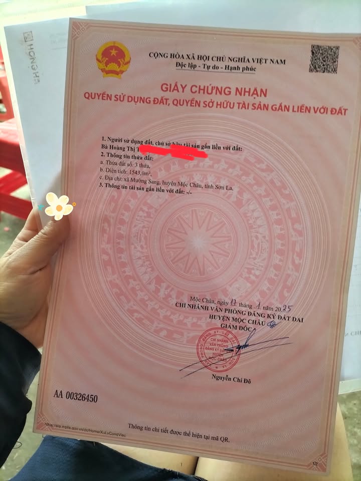 Đất chính chủ Mường Sang 330m² giá chỉ 300 triệu - Đầu tư sinh lời nhanh chóng!