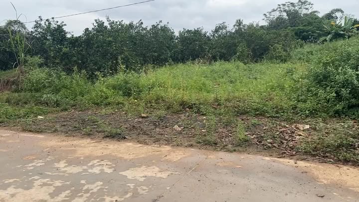 Đất thổ cư Lục Ngạn 300m² giá 2 tỷ - Vị trí đẹp, tiềm năng tăng giá!