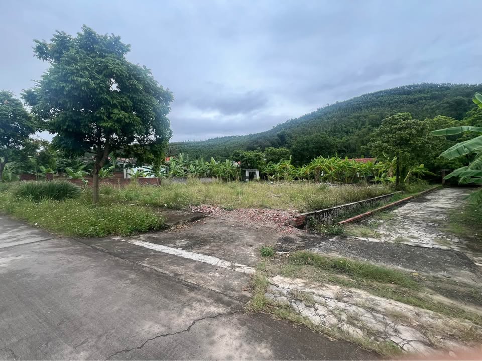 Đất nền Nguyễn Huệ Đông Triều 100m² giá chỉ 400 triệu - Cơ hội đầu tư hấp dẫn!