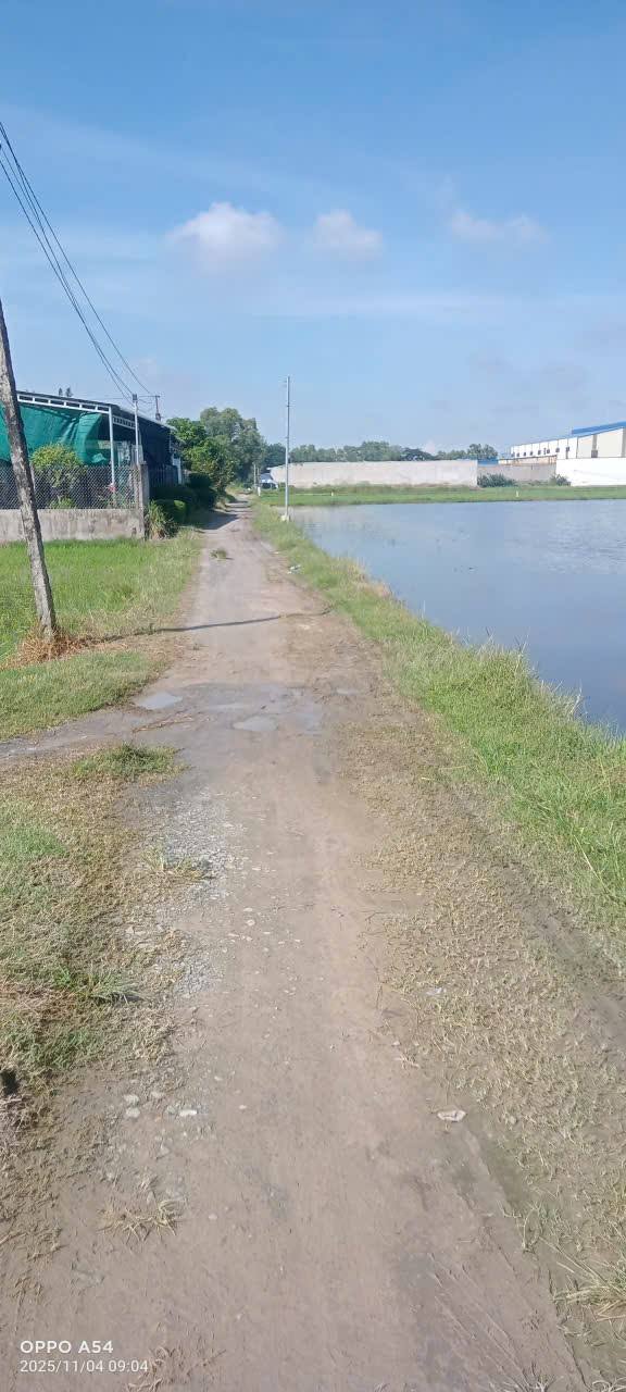 Đất nền ấp 2, xã Mỹ Hạnh, 500m² giá 1.8 tỷ - Cơ hội đầu tư hấp dẫn!