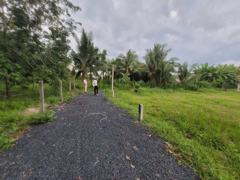 Đất thổ cư 50m² tại Long Hoa, Tây Ninh chỉ 265 triệu - Cơ hội đầu tư hấp dẫn!