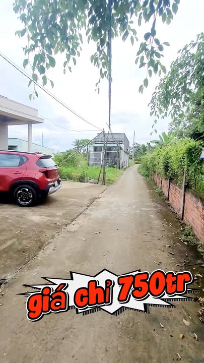 Đất thổ cư 113m² tại Nhựt Chánh, Bến Lức chỉ 750 triệu - Cơ hội đầu tư hấp dẫn!