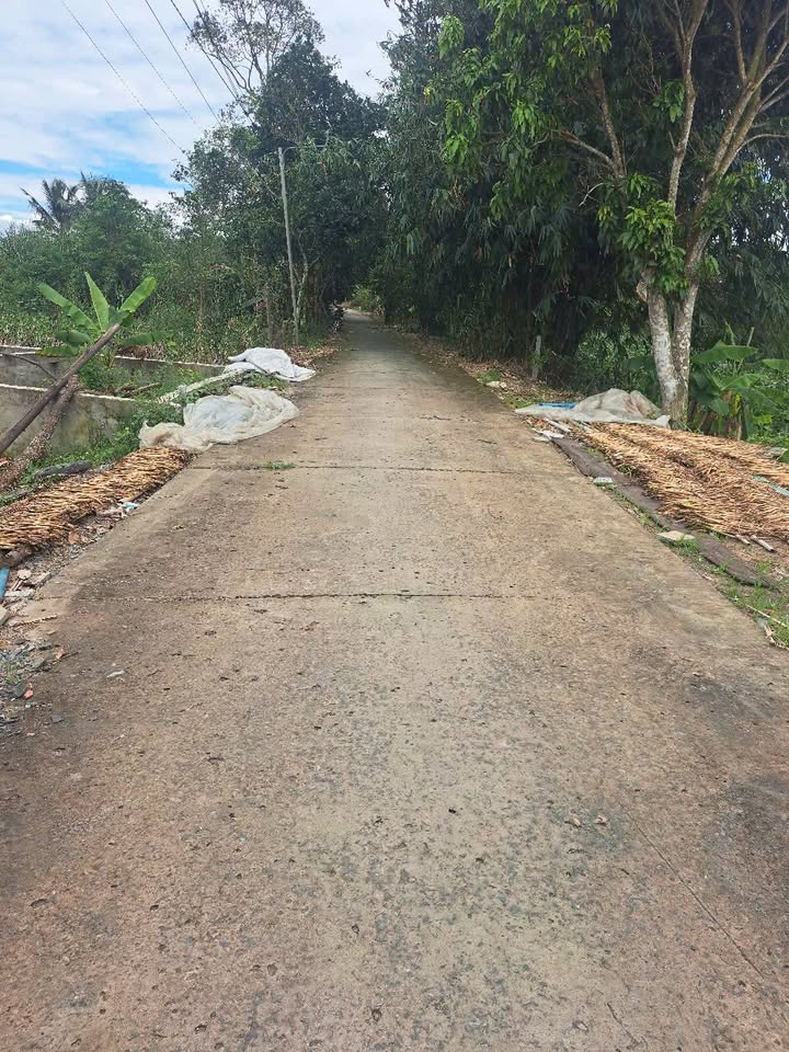 Đất nền Bà Vại, Mỹ Ngãi, 250m² giá 800 triệu - Bán gấp, cơ hội đầu tư tốt!