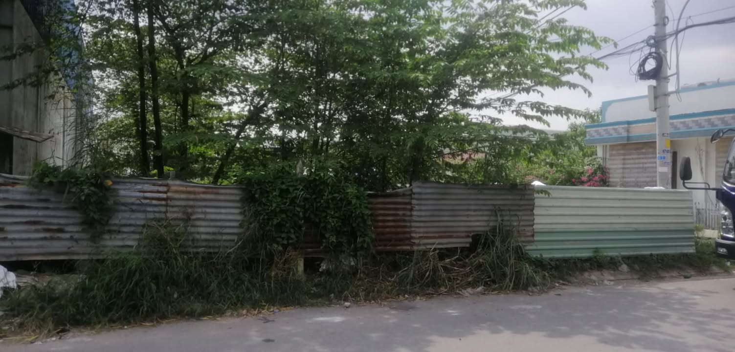 Đất Xây Căn Hộ Dịch Vụ Mặt Tiền An Phú Đông 309m² giá 12.5 tỷ - Cơ hội đầu tư sinh lời hấp dẫn!