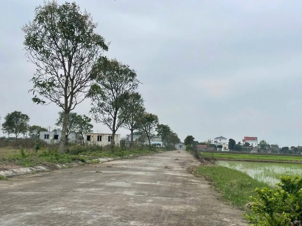 Đất nền Vũ Bình, Kiến Xương 100m² giá 600 triệu - Gần cao tốc Ninh Bình - Hải Phòng!