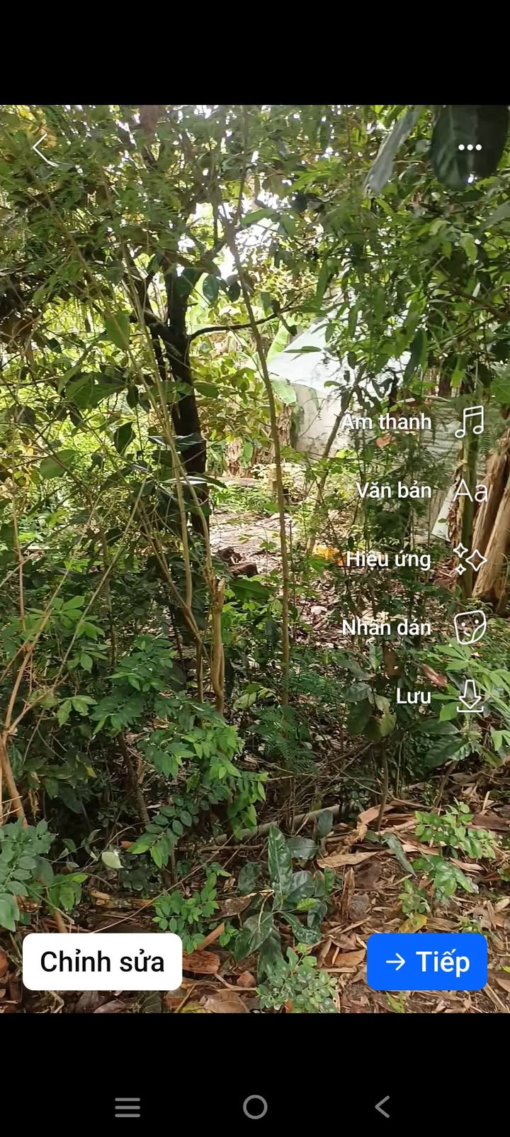 Đất thổ cư 145m² xã Mỹ An, Tháp Mười - Giá chỉ 700 triệu, sổ đỏ chính chủ!