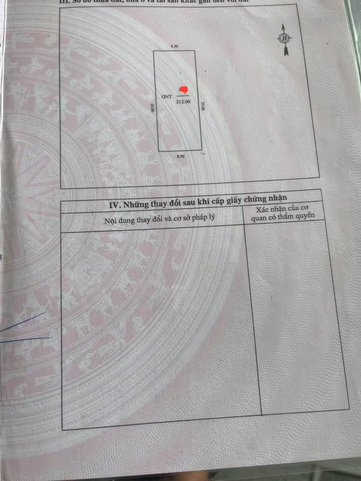 Đất nền Hưng Thông, Hưng Nguyên 212m² - Đường rộng 8-9m, cơ hội đầu tư hấp dẫn!