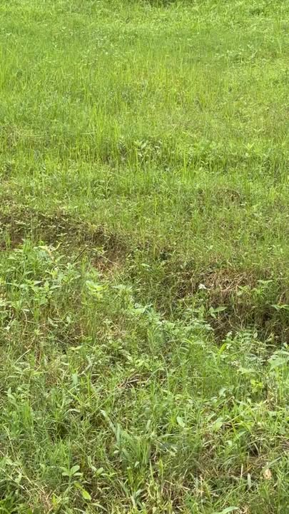 Đất thổ cư 154m² tại Sơn Giang, Hương Sơn - Giá chỉ 299 triệu!