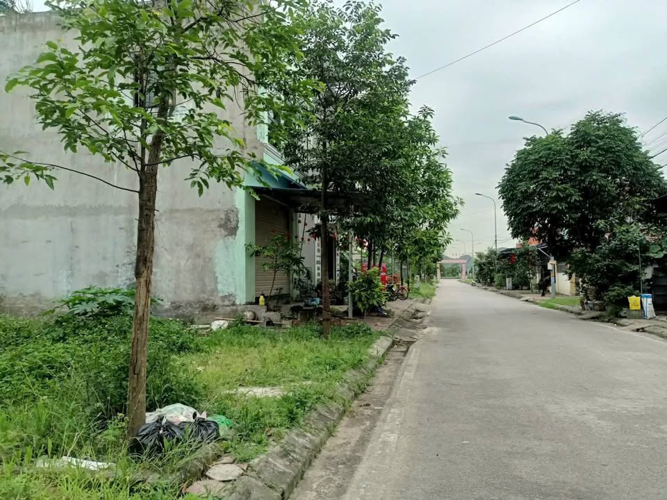 Đất tái định cư Gia Minh - Thủy Nguyên 81m² giá 1.4 tỷ - Hướng Nam đẹp!