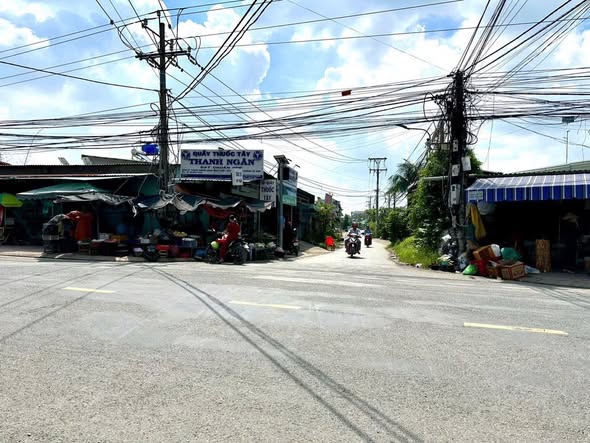 Đất nền 730m² mặt tiền đường Trần Thị Tám, Cần Giuộc - Giá 5.5 tỷ, đầu tư sinh lời!