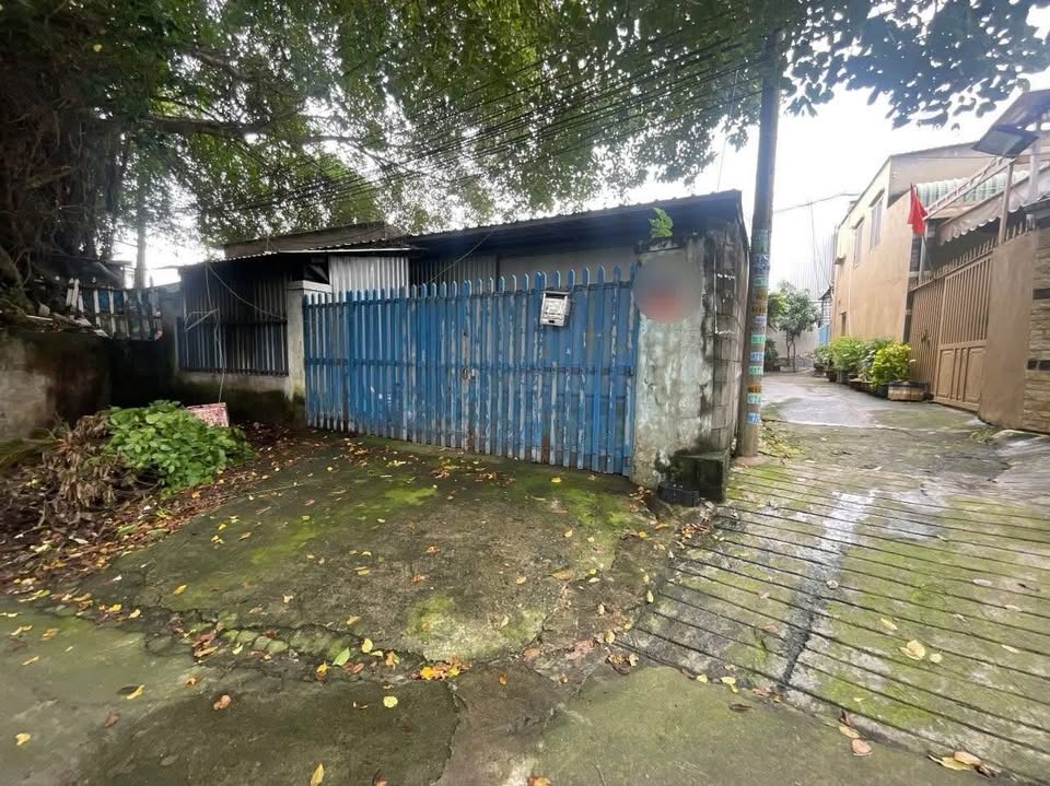 Kho/xưởng 168m² đường Cây Da, Tân Bình, Dĩ An - Vị trí kinh doanh sầm uất!