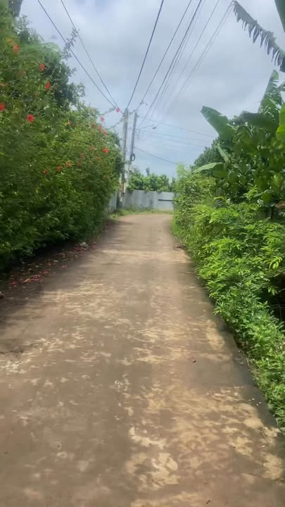 Đất nền 5400m² phường Bình Lộc - Giá chỉ 7.02 tỷ, đầu tư sinh lời cao!