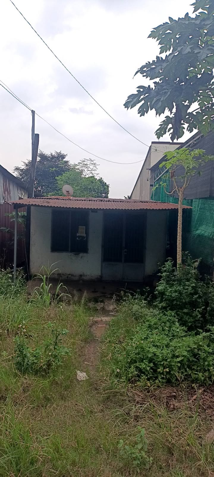 Đất nền Xuân Đông, Cẩm Mỹ, 179m² giá đầu tư - Sổ hồng đầy đủ