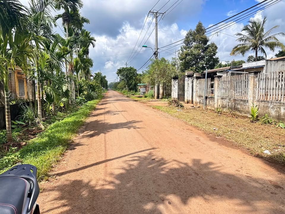 Bán đất tặng nhà mặt tiền đường N6, Tân An - 133m² giá 1.75 tỷ - Đầu tư sinh lời!