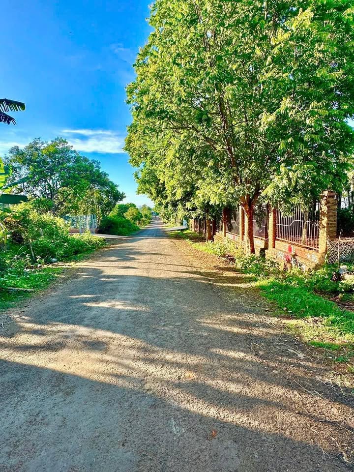 Đất thổ cư đường B4, phường Cư Êbur, 165m² giá 1.59 tỷ - Vị trí đắc địa, giá tốt!