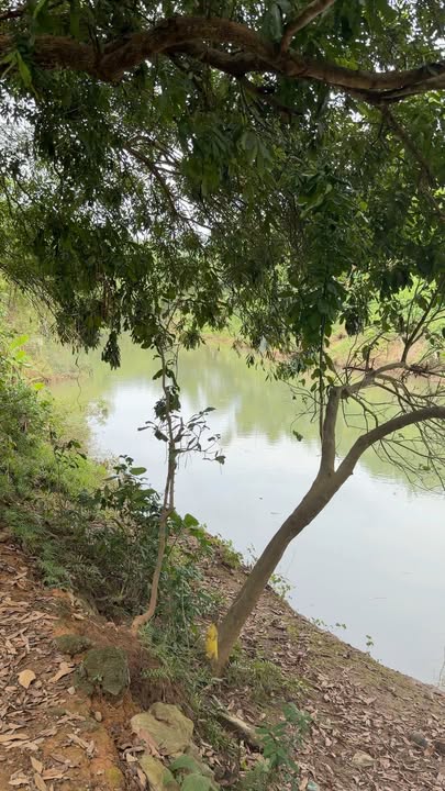 Đất nông nghiệp Mãn Đức, Tân Lạc 1687m² giá 1 tỷ - Sẵn sàng đầu tư!