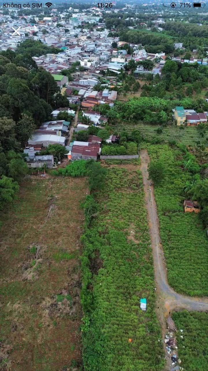 Đất thổ cư Tân Phú 500m² giá 599 triệu - Sổ hồng riêng, vị trí đẹp!