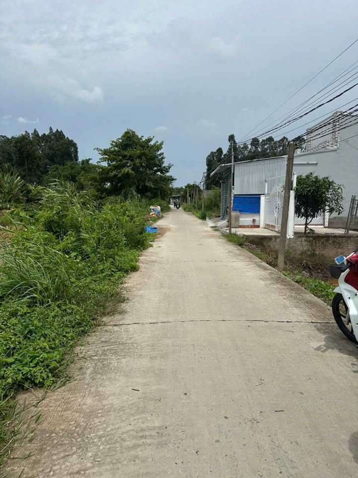 Đất thổ cư xã Lấp Vò 378m² giá 950 triệu - Sổ hồng riêng, đầu tư sinh lời!