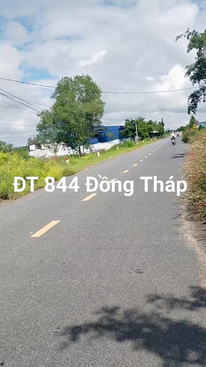 Đất nền Phương Thịnh, Cao Lãnh, Đồng Tháp 16.700m² - Thích hợp mở công ty, nhà xưởng!