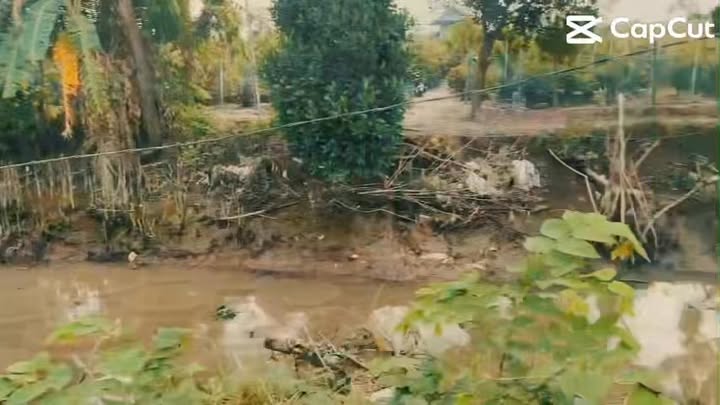 Đất lúa 3370m² tại Tân Quy Tây - Giá 4.044 tỷ, Sổ đỏ chính chủ!