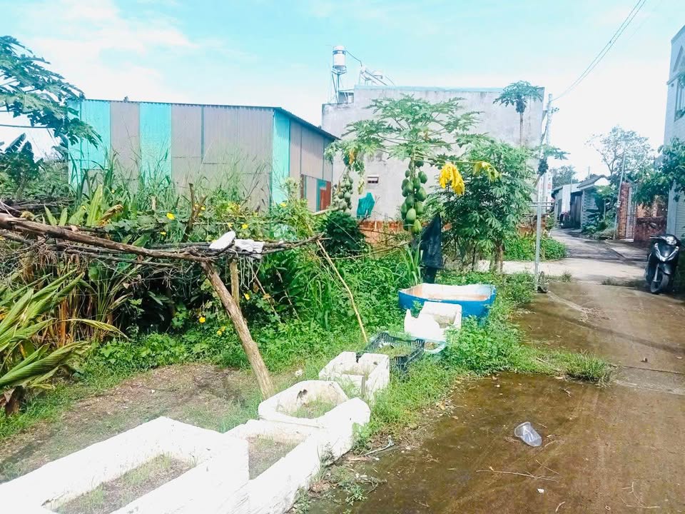 Đất nền Trảng Dài 60m² giá chỉ 270 triệu - Cơ hội đầu tư tuyệt vời!