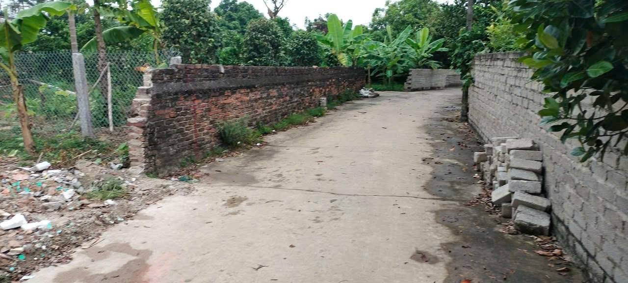 Đất nền Quang Tiến, Tân Yên, Bắc Giang 170m² giá thỏa thuận - Cơ hội đầu tư không thể bỏ lỡ!