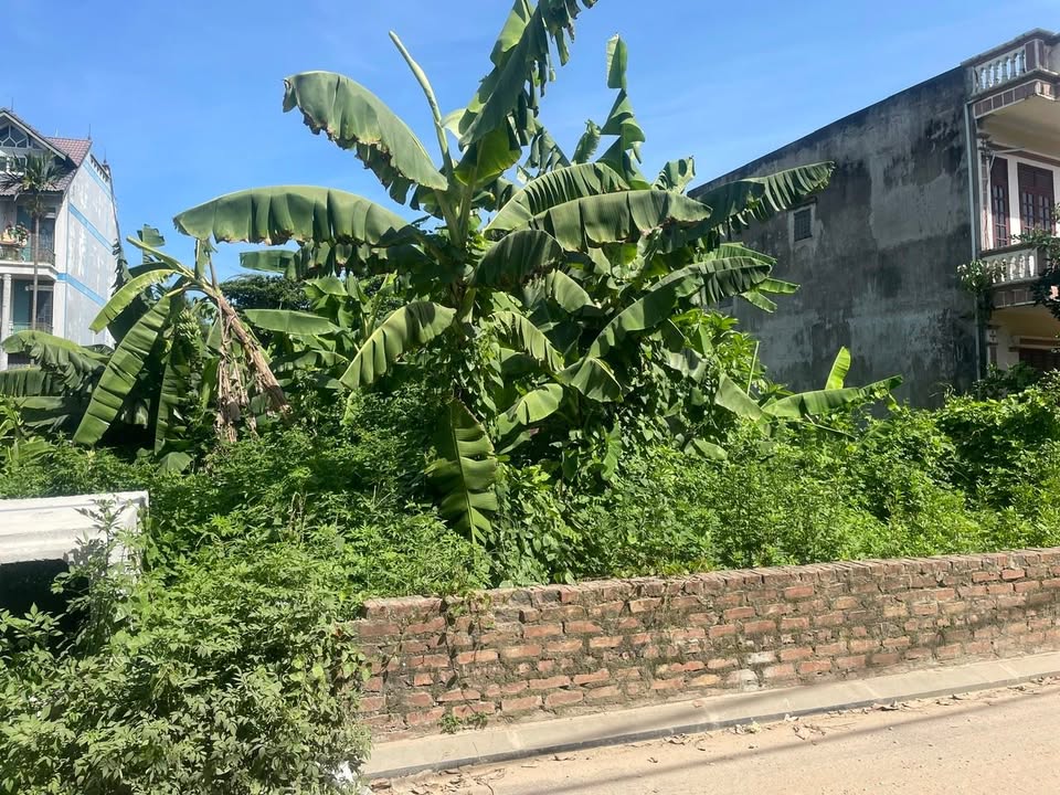 Đất Vân Nội 40m² giá chỉ 2 tỷ - Ô tô đỗ cửa, 3 bước ra phố!