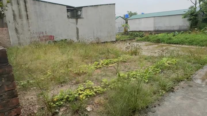 Đất nền Mão Điền, Thuận Thành 75.5m² giá 2.1 tỷ - Cơ hội đầu tư sinh lời!