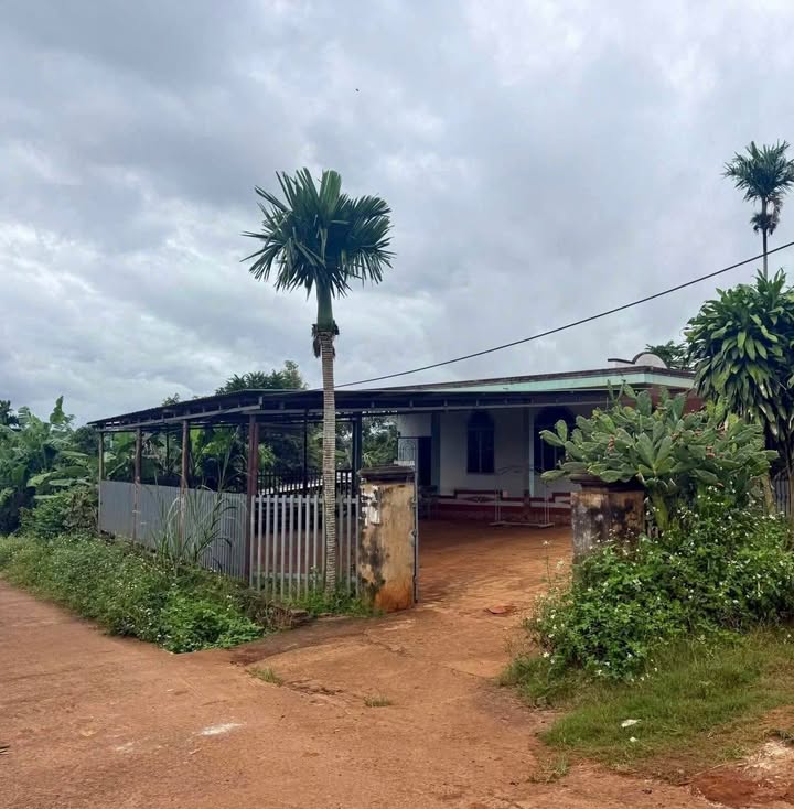 Nhà vườn Dĩ An 2600m² giá 240 triệu - Cơ hội đầu tư hấp dẫn!