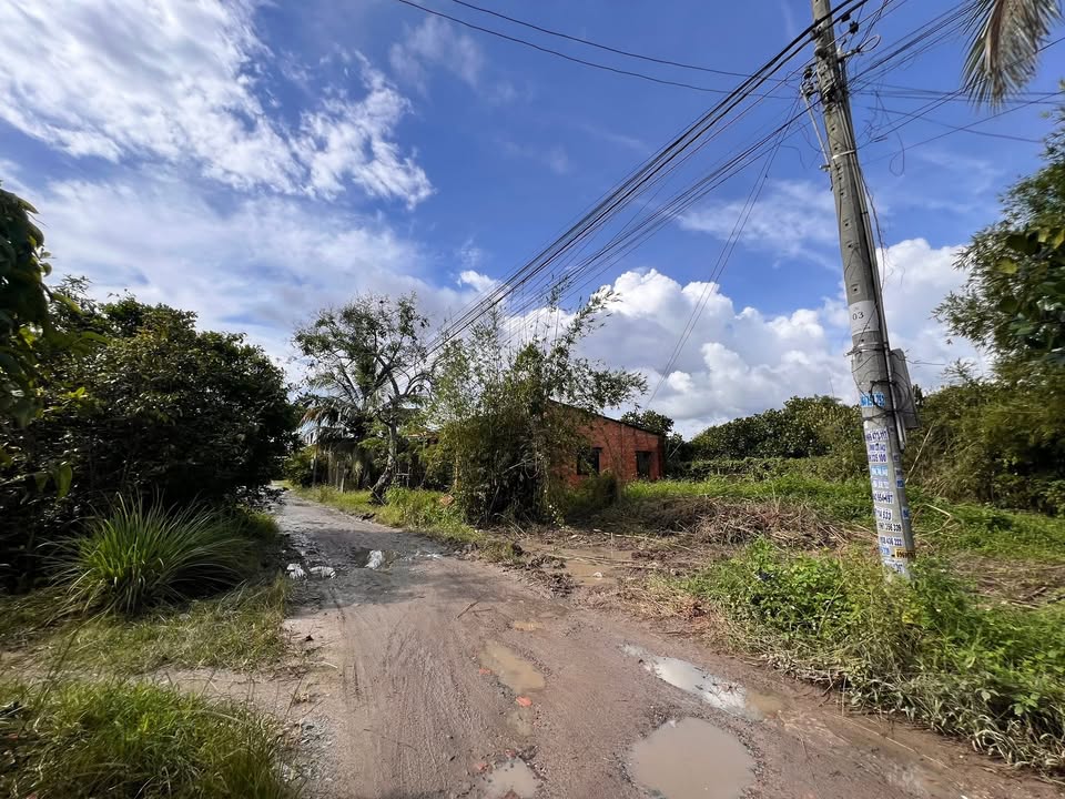 Đất nền 70m² phường Long Hoa, Tây Ninh giá chỉ 295 triệu - Cơ hội đầu tư tuyệt vời!