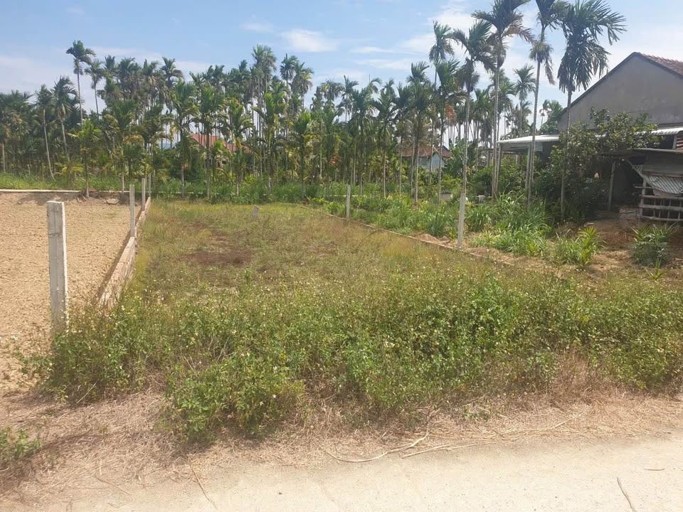 Đất nền Nghĩa Trung 100m² giá 200 triệu - Đầu tư sinh lời ngay hôm nay!