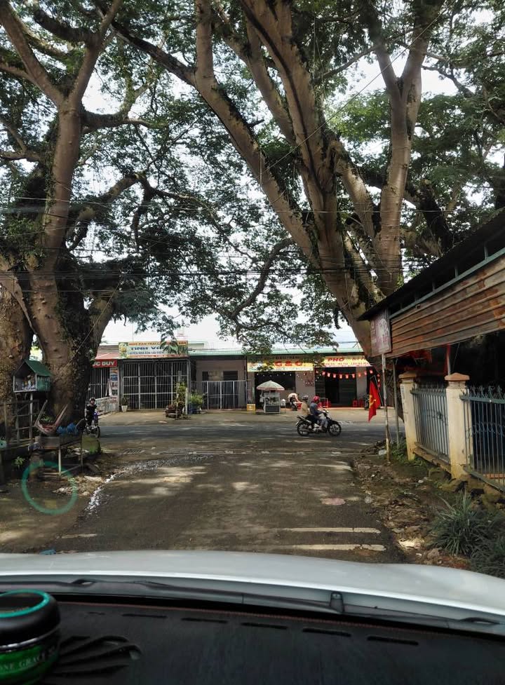 Đất ở Hoa Ninh Di Linh 310m² - Khu kinh doanh thuận lợi, giá thỏa thuận!