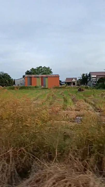 Đất thổ cư Ea Bung Đắk Lắk 1800m² giá 600 triệu - Đầu tư sinh lời ngay!