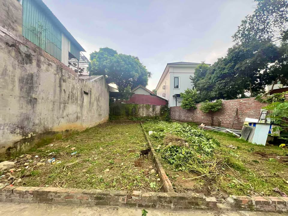 Đất nền khu Tân Thành, Phường Tân Dân, Việt Trì 85m² giá 2 tỷ - vị trí đắc địa, ô tô vào tận đất!