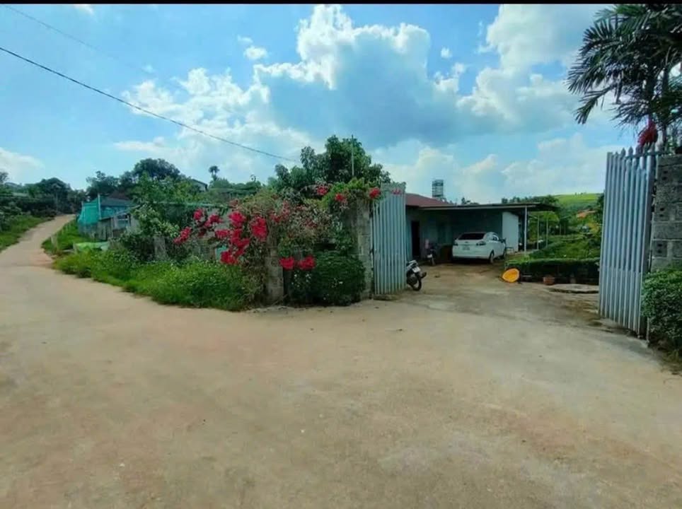 Nhà vườn hẻm 127 Nguyễn Viết Xuân 2214m² giá 4 tỷ - Cơ hội đầu tư tuyệt vời!