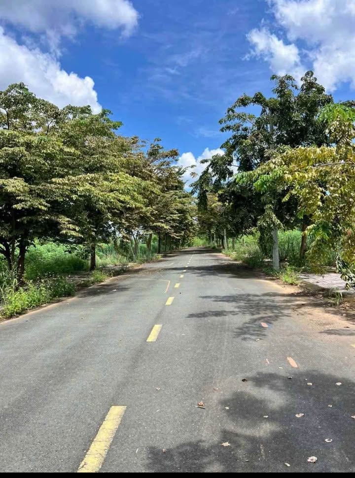 Lô đất 125m² khu dân cư Hoàn Thành, Tân Phú chỉ 460 triệu - Cơ hội đầu tư sinh lời!