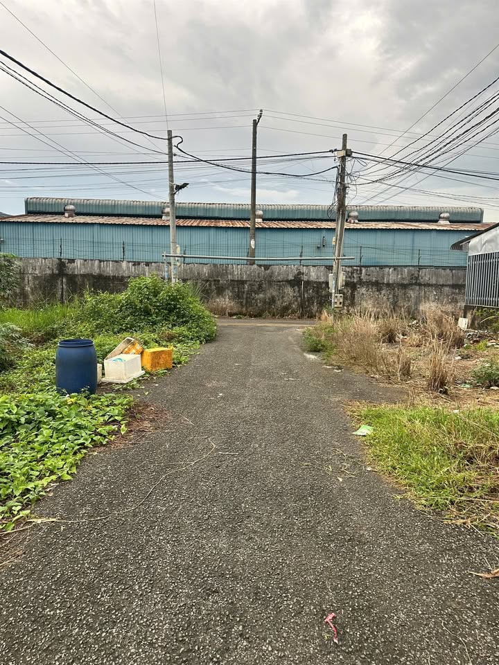 Đất nền Tây Hòa Trảng Bom 100m² giá 800 triệu - Sổ đỏ chính chủ, xây dựng tự do!