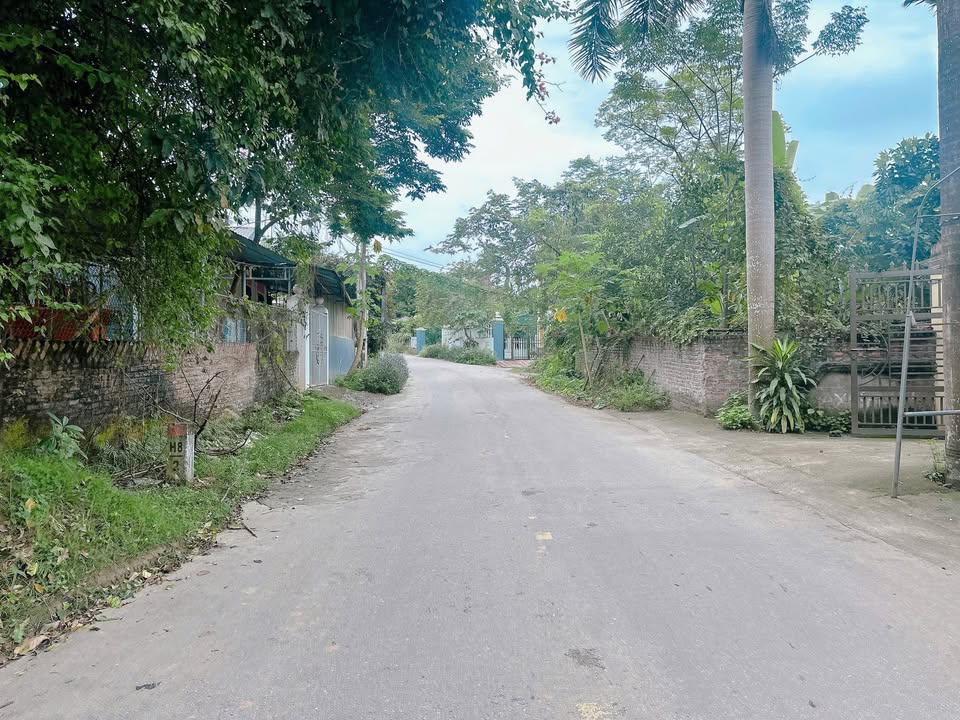 Đất thổ cư Tử Yên, Sông Lô 108m² giá chỉ 1.x tỷ - Đường kinh doanh sầm uất!