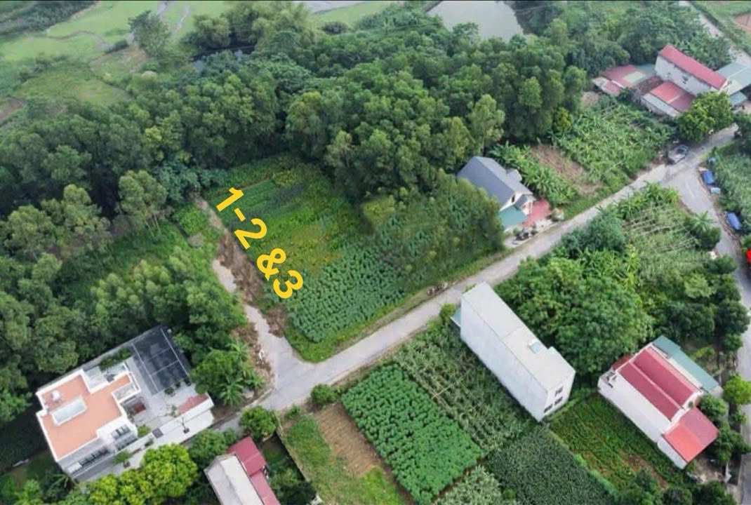 Đất nền Kim Đức, Việt Trì 150m² giá 2 tỷ - Đường quy hoạch đẹp!