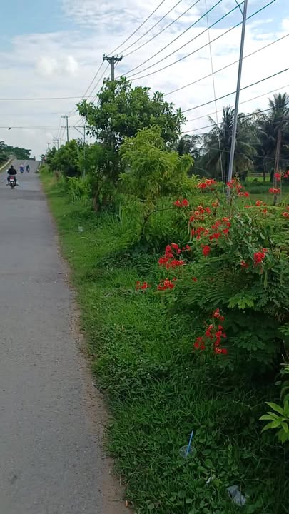 Đất mặt tiền Quốc lộ 53, 2925m² giá 202.5 tỷ - Cơ hội đầu tư sinh lời!