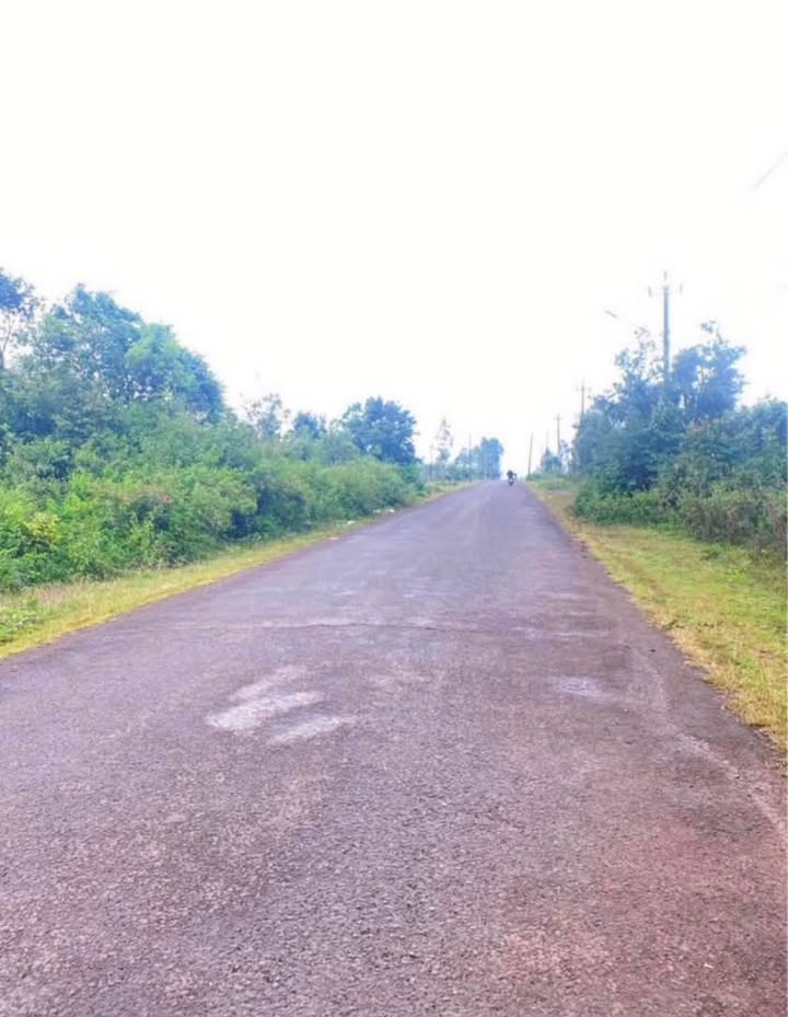 Đất nền 2 mặt tiền đường Nguyễn Bình, P. Chi Lăng, 2100m² giá 2.2 tỷ - Đầu tư sinh lời ngay!