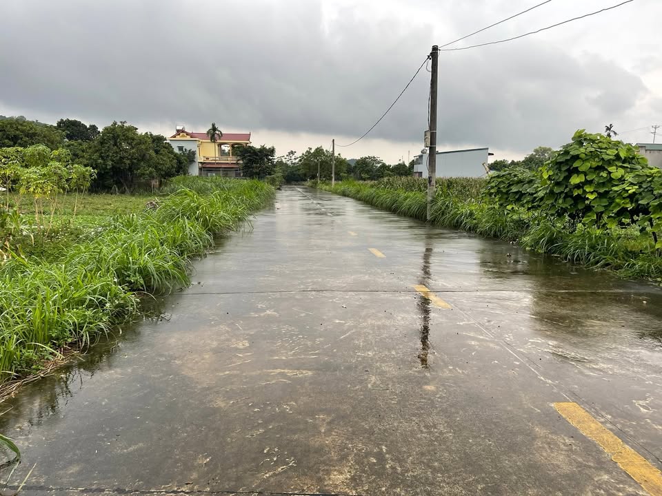 Đất nhà vườn Yên Trung, Yên Mô, Ninh Bình 300m² - Giá thỏa thuận hấp dẫn cho nhà đầu tư!