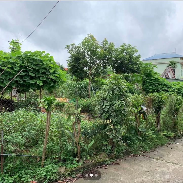 Đất thổ cư Sơn Cẩm 550m² giá 3XX triệu - Đầu tư sinh lời tốt!