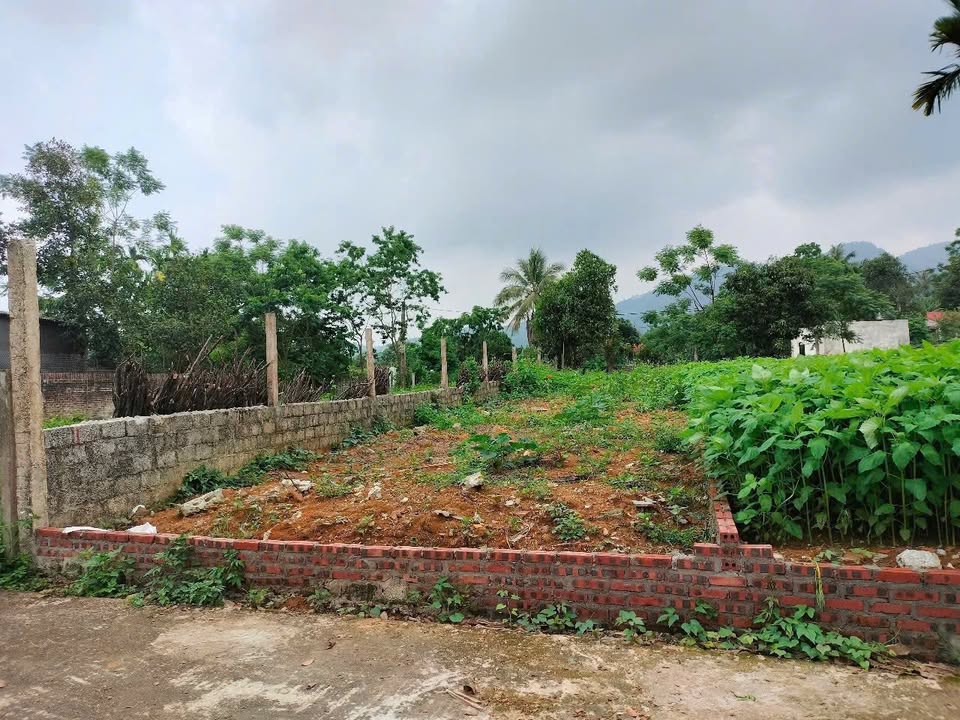 Đất nền Ngọc Mỹ Lập Thạch 115.6m² giá chỉ 7xx triệu - Tiềm năng đầu tư lớn!