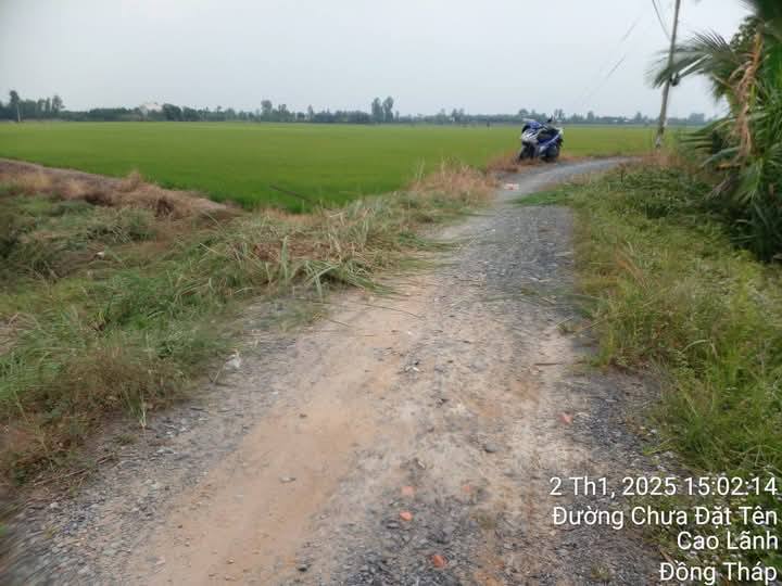 Bán đất mặt tiền lộ đá 1296m² tại Mỹ Trà - Cơ hội đầu tư hấp dẫn!