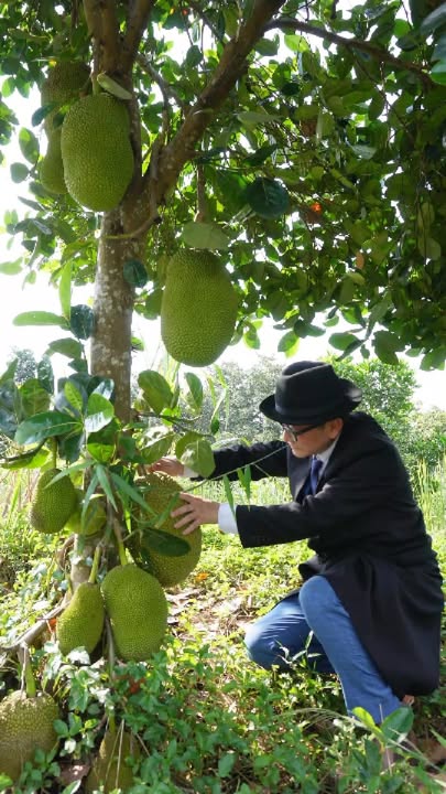 Đất vườn 20,000m² tại Đoàn Kết, Đạ Huoai, Lâm Đồng - Giá chỉ 19.3 tỷ, chính chủ bán gấp!