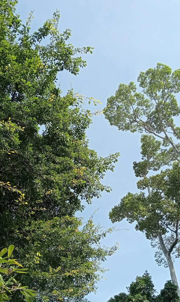 Nhà phố Lý Thường Kiệt, Quận 10, 75m² giá 14.5 tỷ - Kinh doanh đỉnh cao!