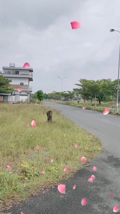 Đất nền Thung Lũng Xanh An Phước 162m² giá 3 tỷ - Mặt tiền đường lớn, đầu tư lý tưởng!