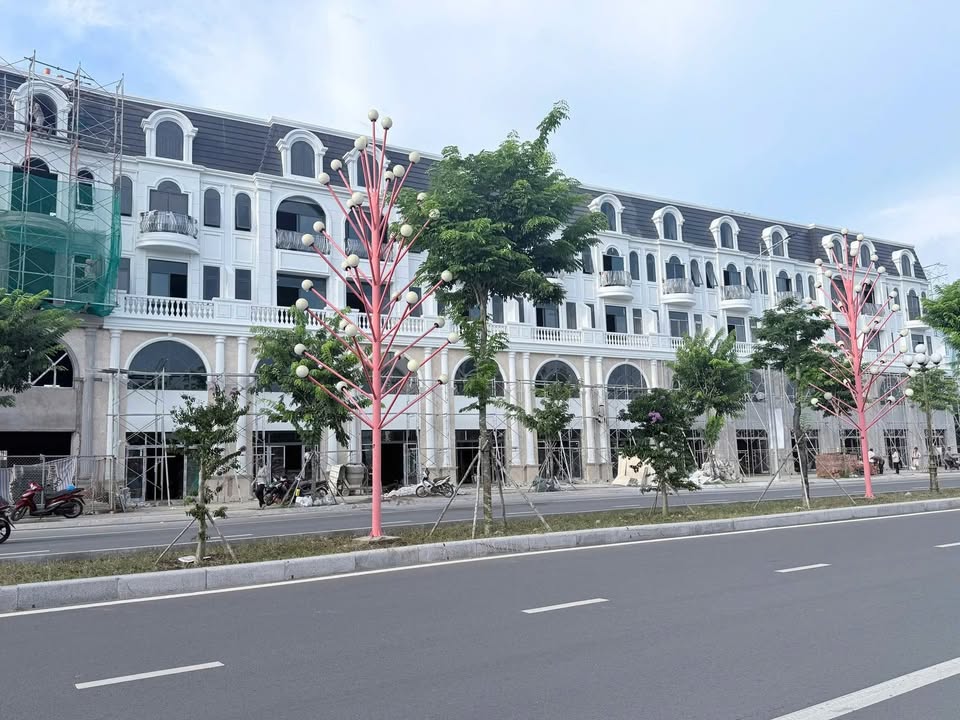 Nhà phố cho thuê mặt tiền đường Đại Lộ Đông Tây - Trung tâm TP Bến Tre, 100m² giá 30 triệu/tháng